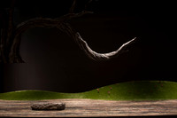 Orfeo ed Euridice Florida Grand Opera by Ranieri de’ Calzabigi