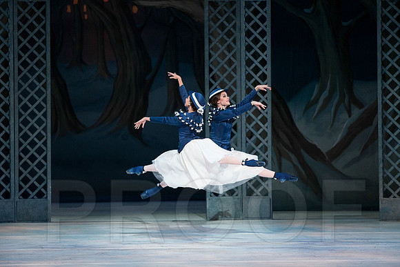 5_S_le_pat_20121018-Les_patineurs_Dress_Rehersal_Arsh_MCB_Miami_FL_-6739-2