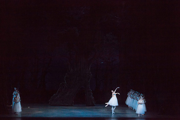7064_DG_GISELLE_Broward_Preformance_Miami_City_Ballet_FL_IMG_4778