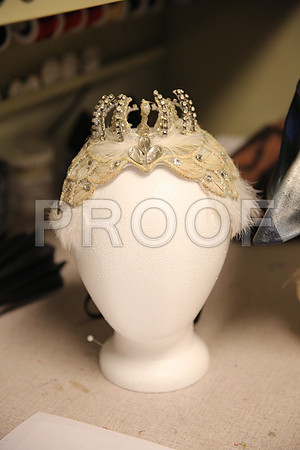 20150901_Fitting_Swan_Lake_Wardrobe_IMG_6226