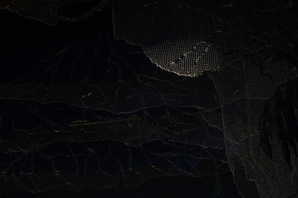 20130328_file002020