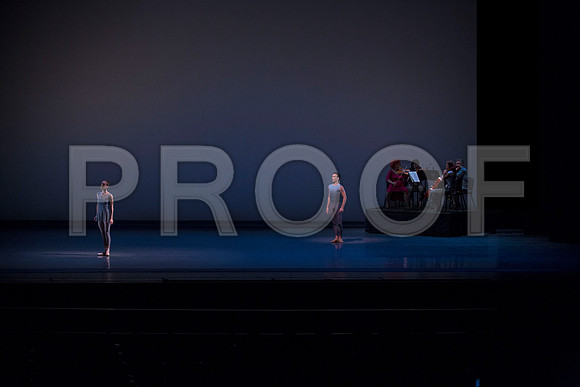 20140109_C7C3394 cc
