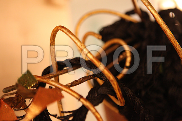 20140508_THAIS_ARSHT_IMG_1409