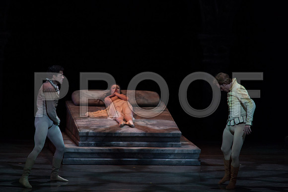 5029_DG_Miami_City_Ballet_Romeo_and_Juliet_Broward_center_2011_MG_7663