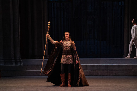 20240418_Swan_Lake_ACT_3_2_Cast_DSC8552.ARW