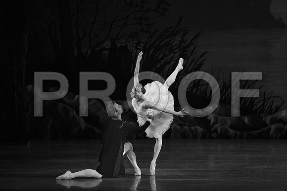 20151022_MCB_Swan_Lake_DR_Arsht_IMG_7846 B&W