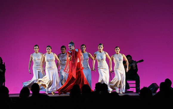 20210417_Siudy_ flamenco_archt_DSC9990