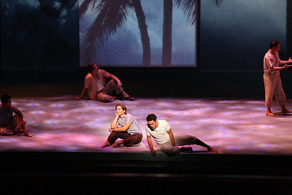 Before Night Falls Florida Grand Opera by Jorge Martin with Dolores M. Koch
