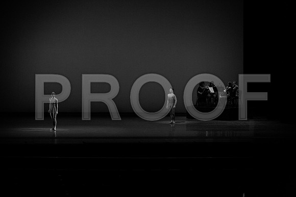 20140109_C7C3394 cc BW