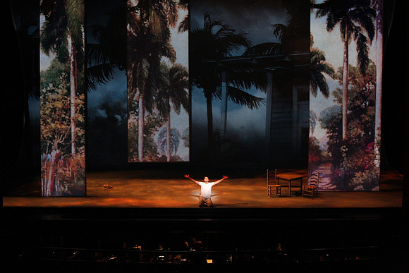 Before Night Falls Florida Grand Opera by Jorge Martin with Dolores M. Koch