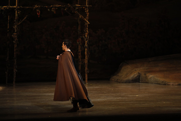 20161023_MCB_Giselle_Act1_3Cast_Jennifer_Laurent_Arsht__73A1413