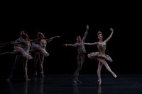 20160318_Midsummer_Night's_Dream_PR_Closeup_G3P0019