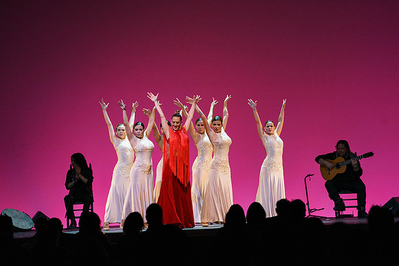 20210417_Siudy_ flamenco_archt_DSC9941