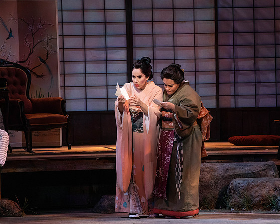 20200116_Madana_Butterfly_DR_173A0031