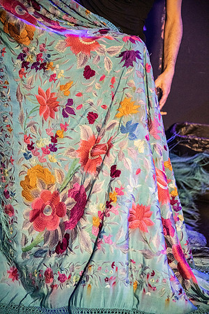 Flamenco_Sara_Baras_8783