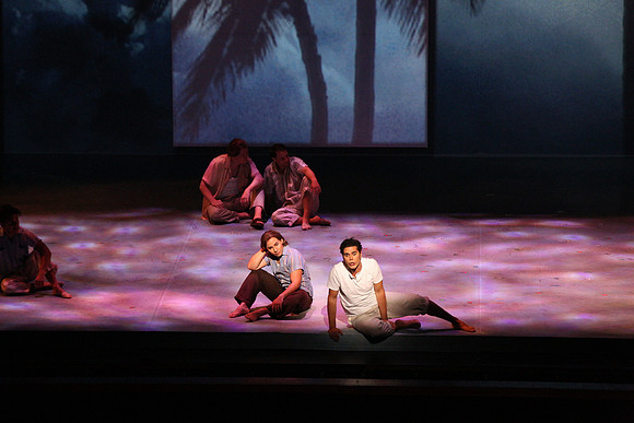Before Night Falls Florida Grand Opera by Jorge Martin with Dolores M. Koch