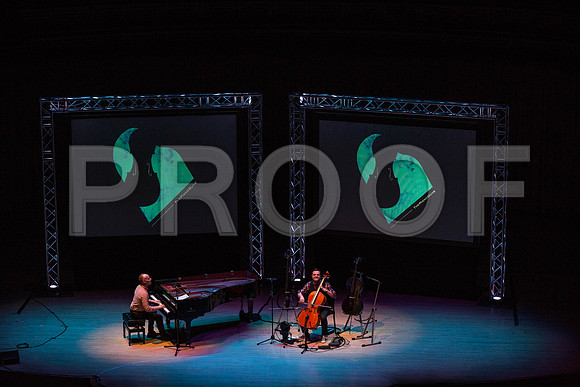 20150203_The_Piano_Guys_Arsht_9C7C1207