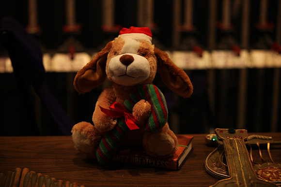 20130329_file026624