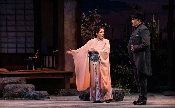 20200116_Madana_Butterfly_DR_173A0168