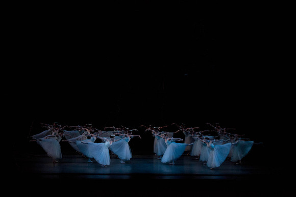 7064_DG_GISELLE_Broward_Preformance_Miami_City_Ballet_FL_IMG_4293