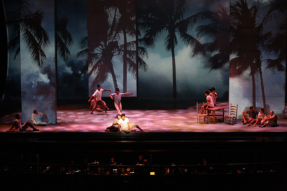 Before Night Falls Florida Grand Opera by Jorge Martin with Dolores M. Koch