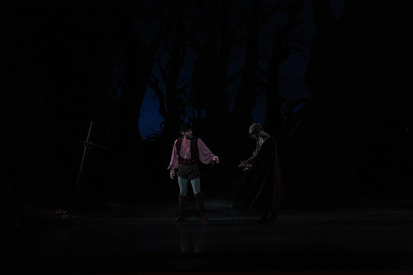 20161020_MCB_Giselle_Act2_DRNN_Arsht_9C7C0051
