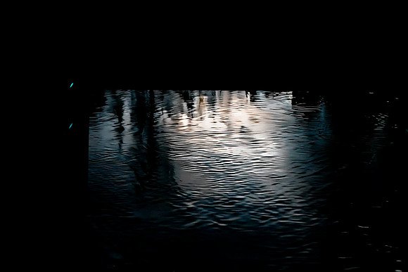 _DSC5555