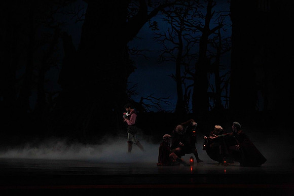 20161020_MCB_Giselle_Act2_DRNN_Arsht_9C7C0024