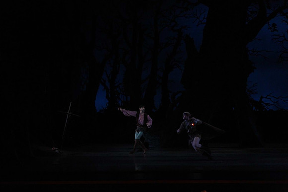 20161020_MCB_Giselle_Act2_DRNN_Arsht_9C7C0066