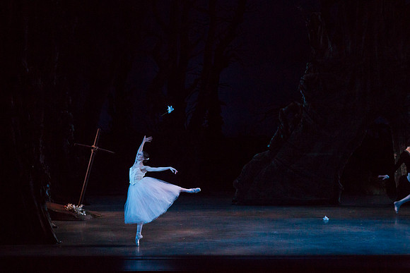 7064_DG_GISELLE_Broward_Preformance_Miami_City_Ballet_FL_AL1B3337