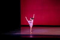 20170112_Carousel_Pas_de_Deux_Wide_DR_MCB_Arsht_9C7C3330