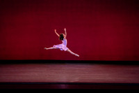20170112_Carousel_Pas_de_Deux_Wide_DR_MCB_Arsht_9C7C3355