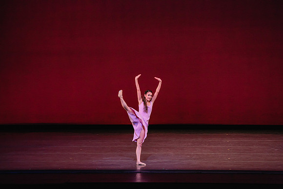 20170112_Carousel_Pas_de_Deux_Wide_DR_MCB_Arsht_9C7C3373