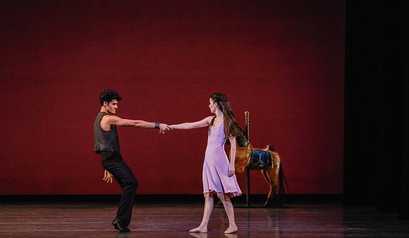 20170112_Carousel Pas de Deux_DR_MCB_Arsht_73A4801