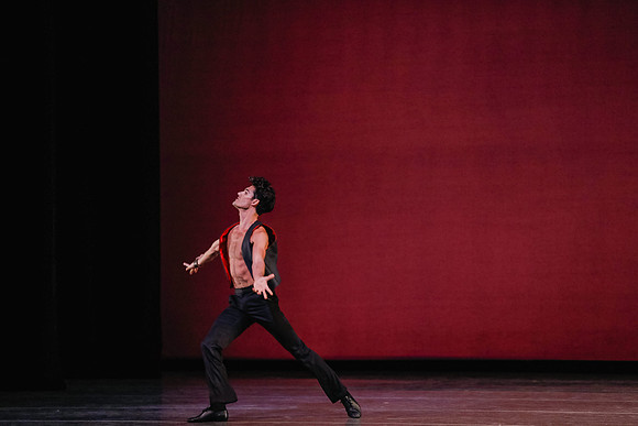 20170112_Carousel Pas de Deux_DR_MCB_Arsht_73A4834
