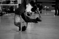 20110624_6000_DG_MCB-2180