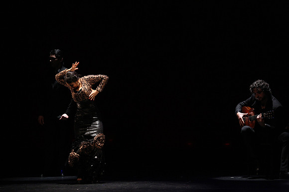 20140227_Flamenco_Festival_1_9C7C0120