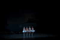 20151025_MCB_Swan_Lake_2Cast_Arsht_IMG_0020