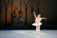 20141223_Nutcracker_ARTC_Pasdedeux_CG3P0732