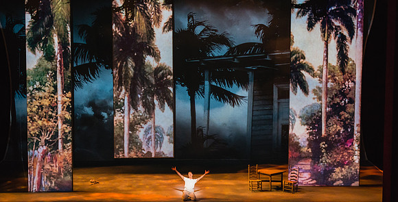 Before Night Falls Florida Grand Opera by Jorge Martin with Dolores M. Koch