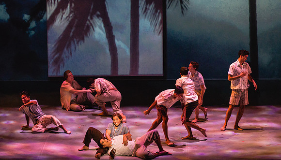 Before Night Falls Florida Grand Opera by Jorge Martin with Dolores M. Koch