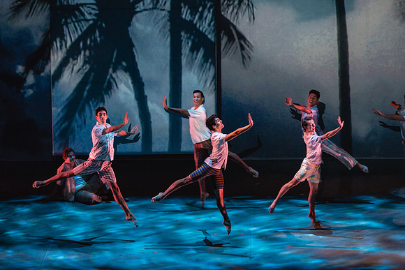 Before Night Falls Florida Grand Opera by Jorge Martin with Dolores M. Koch