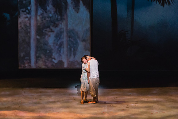 Before Night Falls Florida Grand Opera by Jorge Martin with Dolores M. Koch