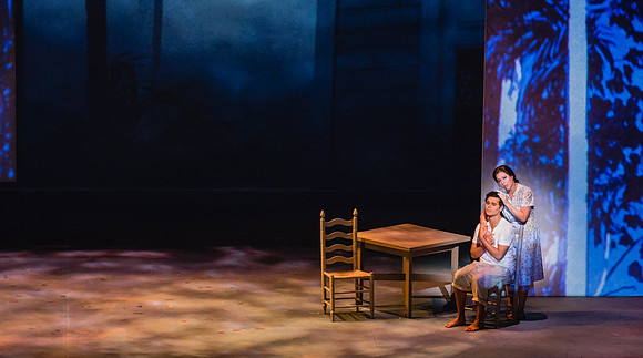 Before Night Falls Florida Grand Opera by Jorge Martin with Dolores M. Koch
