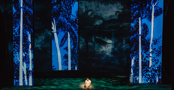 Before Night Falls Florida Grand Opera by Jorge Martin with Dolores M. Koch