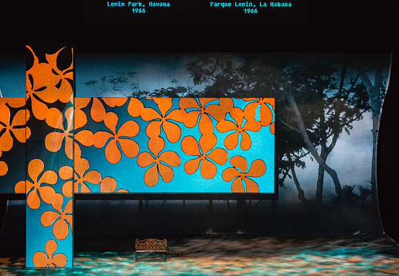 Before Night Falls Florida Grand Opera by Jorge Martin with Dolores M. Koch