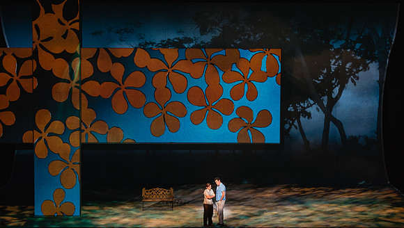 Before Night Falls Florida Grand Opera by Jorge Martin with Dolores M. Koch