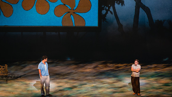 Before Night Falls Florida Grand Opera by Jorge Martin with Dolores M. Koch