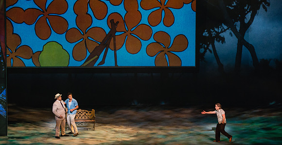 Before Night Falls Florida Grand Opera by Jorge Martin with Dolores M. Koch