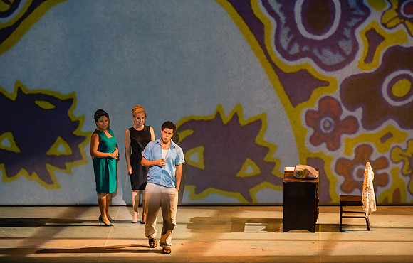 Before Night Falls Florida Grand Opera by Jorge Martin with Dolores M. Koch